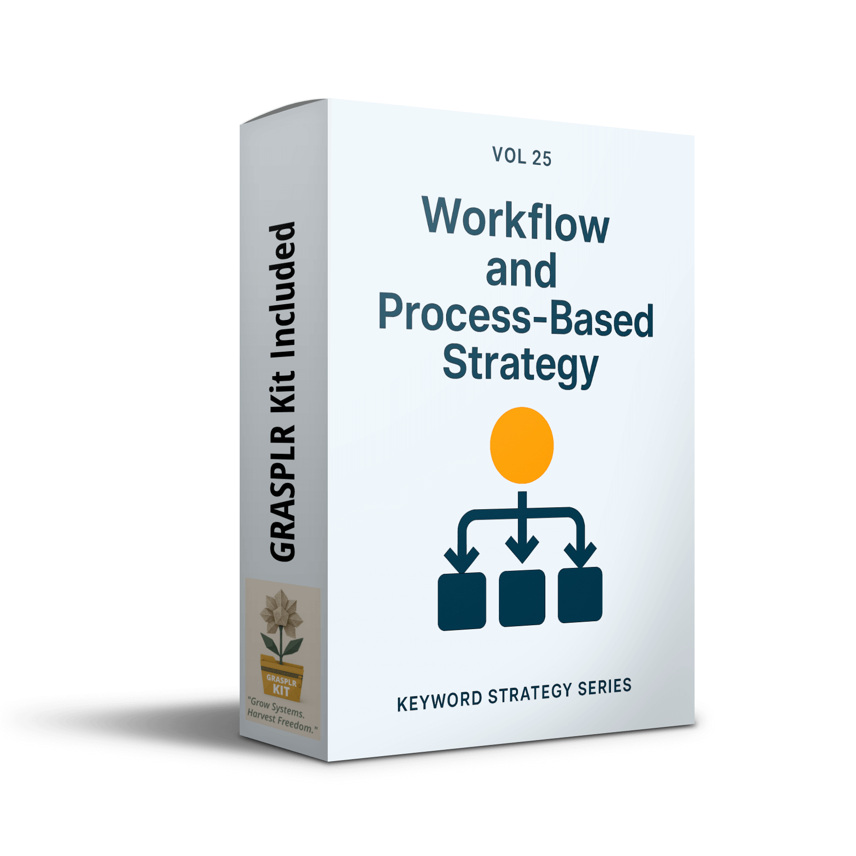 GRASPLR Workflow and Process-Based Strategy