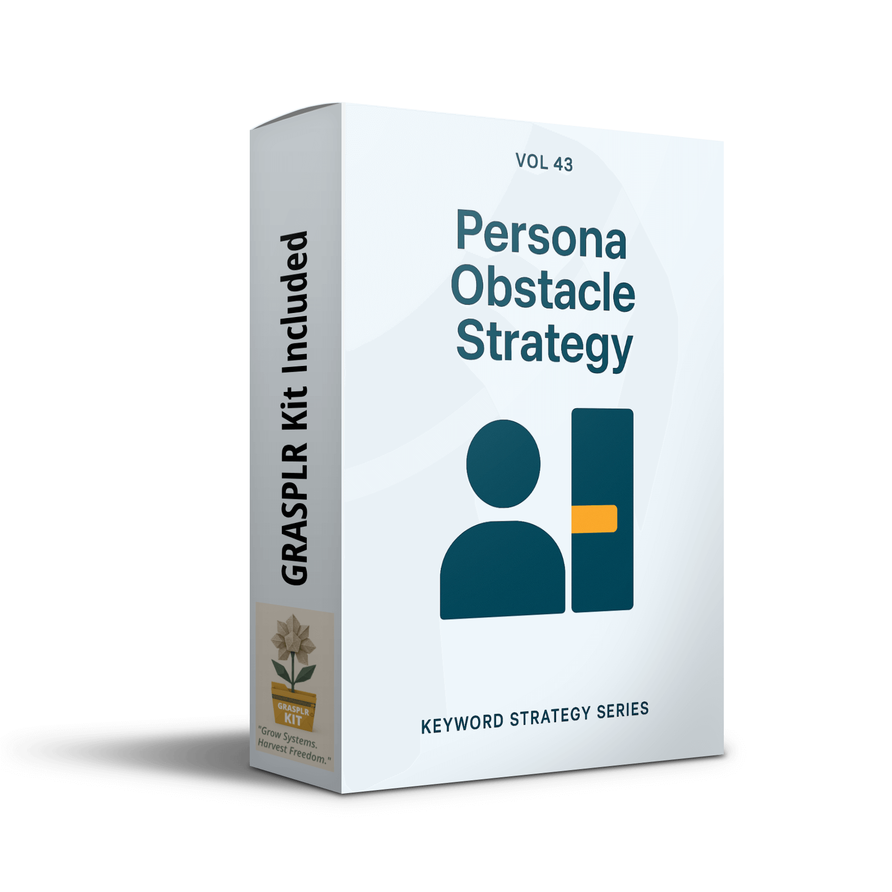 GRASPLR Persona Obstacle Strategy