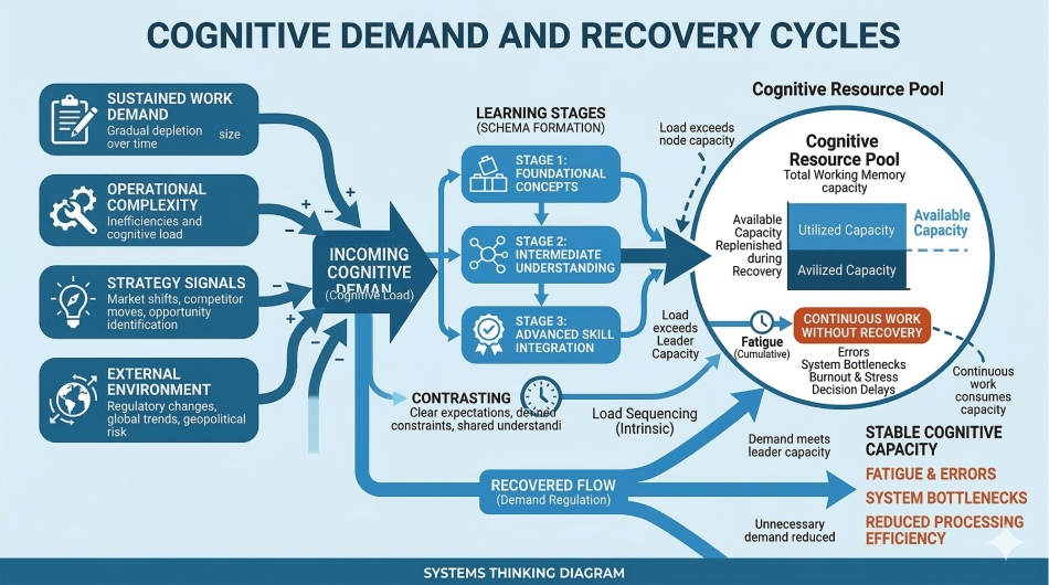 Cognitive Recovery and System Stability