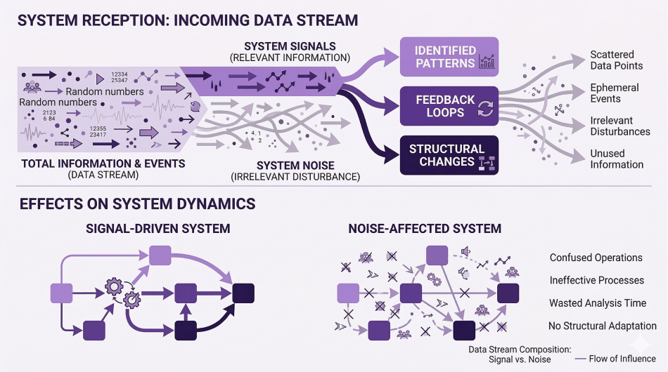 Signal Versus Noise in Complex Systems